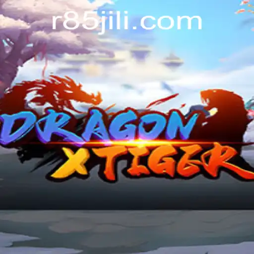 Discovering DragonXTiger: Adventure Awaits with R85